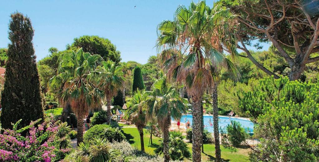 Badine Beach 5P Plage Piscine Balneo Clim Jardin Exotique Hyères Kültér fotó